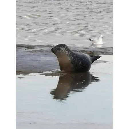 Nordsee-oase-im-albatros * Tossens