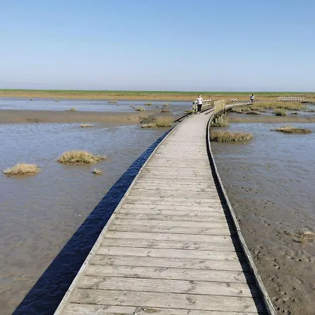 Nordsee-oase-im-albatros Apartment